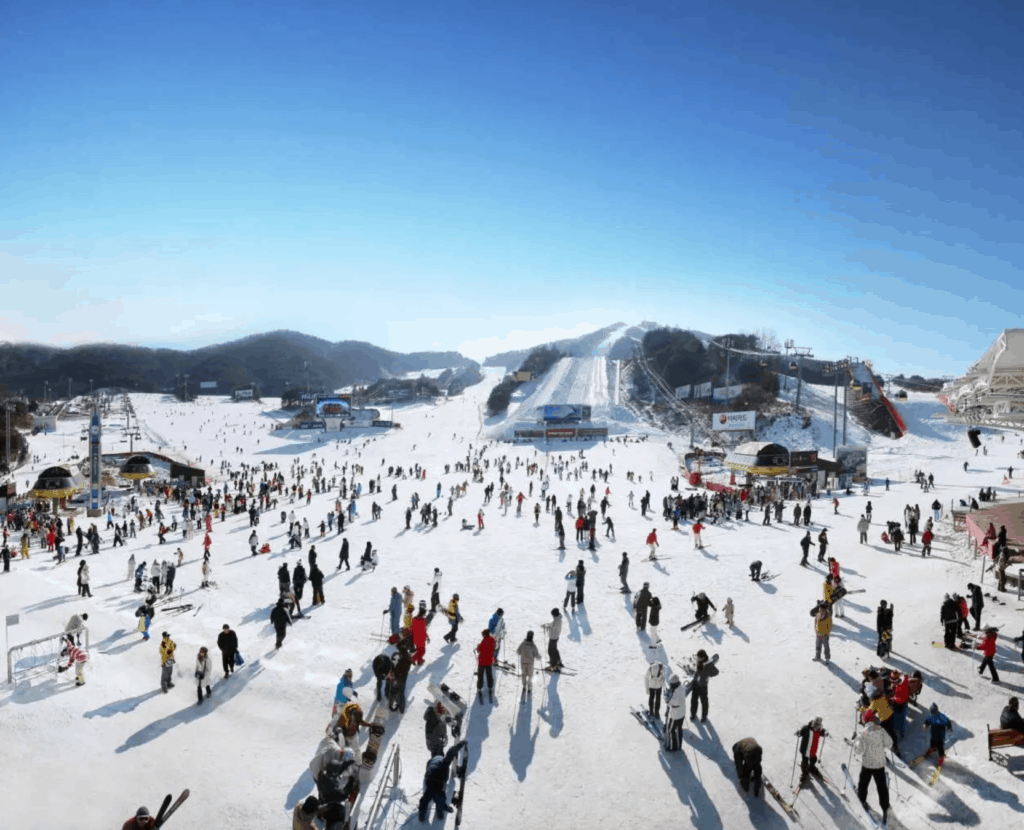  韓國滑雪場 威利希利滑雪度假村/ WELLI HILLI PARK
