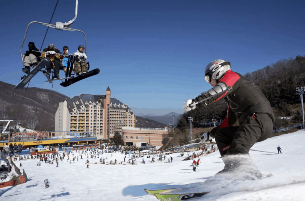  韓國滑雪場 陽智 PINE滑雪度假村