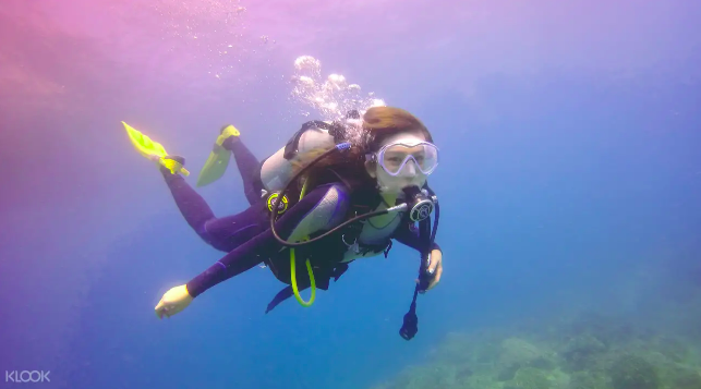 台北｜gogo台北一日遊，挑戰你沒想過的7種玩法-潛水